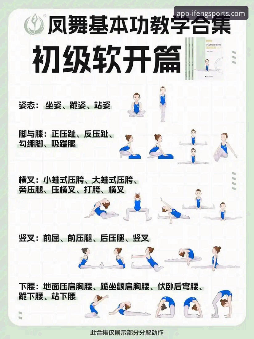 揭秘凤凰体育新手教程对比：3分钟找到最适合你的入门路径